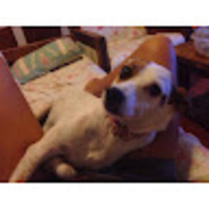 Meet your Posher, Don